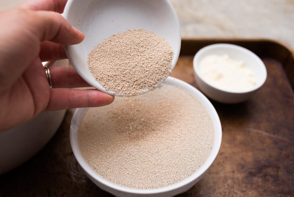 commercial yeast in pizza dough