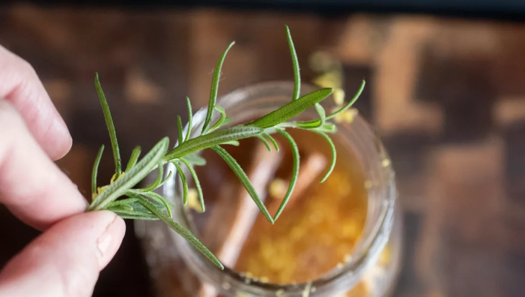 fresh rosemary for cough syrup