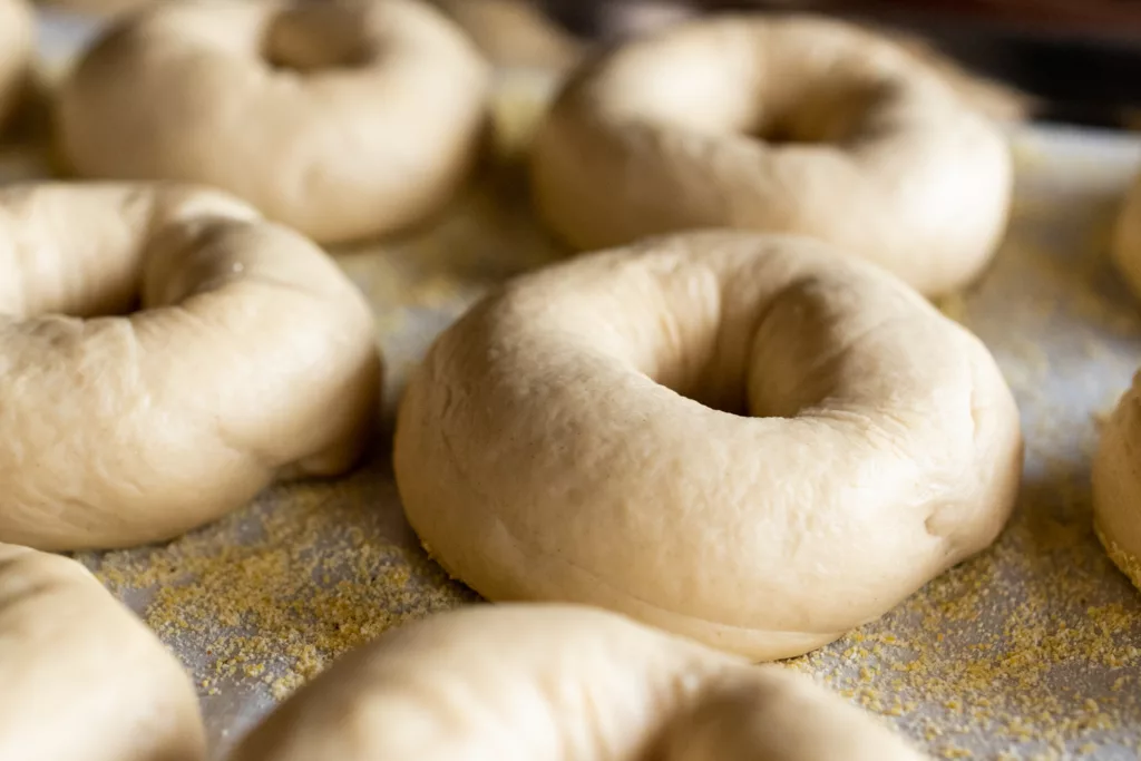 bagels ready to boil