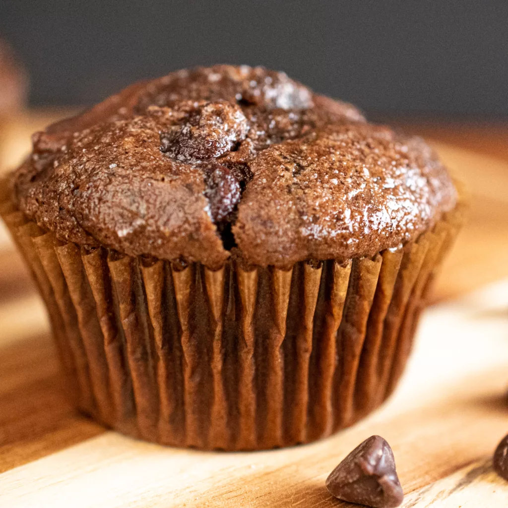 double chocolate sourdough muffins